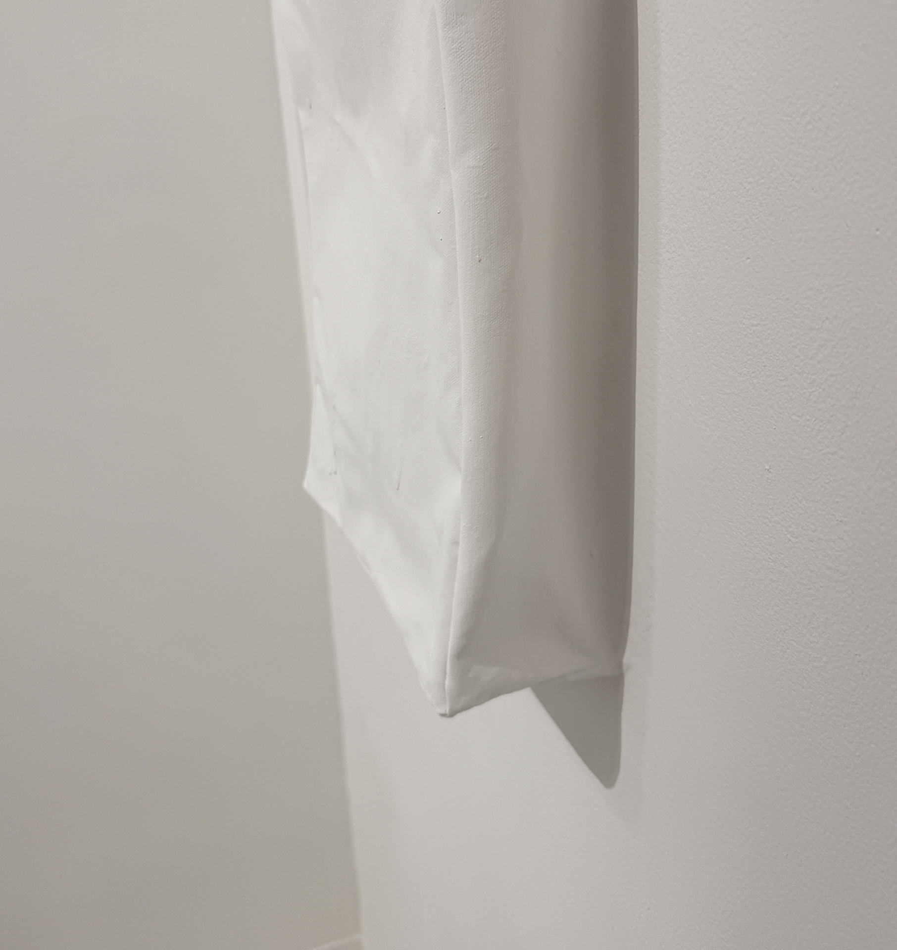 Soojeong Park, Living Surfaces, 2026, Installation, sewn canvas, nails, L-shaped stand, gesso, wall putty, wall paint, bass shakers, exciters, amplifiers, MP3 player, electrical wires (view 6 of 8)