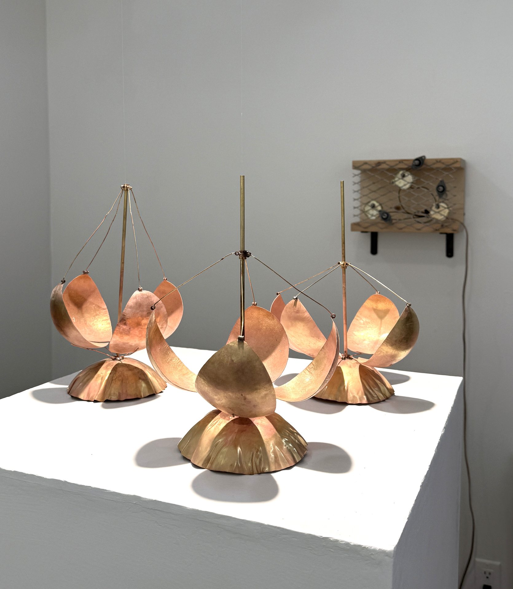 Soojeong Park, Working Buds, 2026, Kinetic installation, Brass, motors, pulleys, bearings, wood, iron, and fishing line